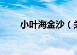 小叶海金沙（关于小叶海金沙介绍）