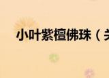 小叶紫檀佛珠（关于小叶紫檀佛珠介绍）