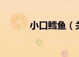 小口鳕鱼（关于小口鳕鱼介绍）