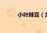 小叶棘豆（关于小叶棘豆介绍）
