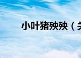 小叶猪殃殃（关于小叶猪殃殃介绍）