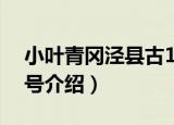 小叶青冈泾县古1号（关于小叶青冈泾县古1号介绍）