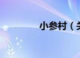 小参村（关于小参村介绍）