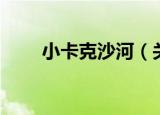 小卡克沙河（关于小卡克沙河介绍）