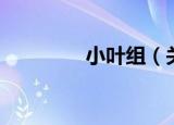 小叶组（关于小叶组介绍）