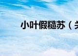 小叶假糙苏（关于小叶假糙苏介绍）