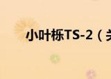 小叶栎TS-2（关于小叶栎TS-2介绍）