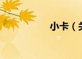 小卡（关于小卡介绍）