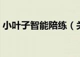 小叶子智能陪练（关于小叶子智能陪练介绍）