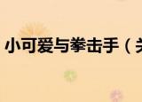 小可爱与拳击手（关于小可爱与拳击手介绍）