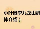 小叶鼠李九龙山群体（关于小叶鼠李九龙山群体介绍）