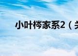 小叶梣家系2（关于小叶梣家系2介绍）