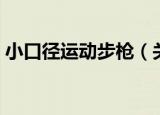 小口径运动步枪（关于小口径运动步枪介绍）