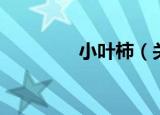 小叶柿（关于小叶柿介绍）