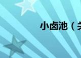 小卤池（关于小卤池介绍）