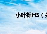 小叶栎HS（关于小叶栎HS介绍）