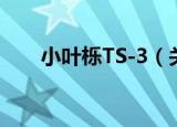 小叶栎TS-3（关于小叶栎TS-3介绍）