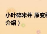 小叶碎米荠 原变种（关于小叶碎米荠 原变种介绍）