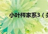 小叶梣家系3（关于小叶梣家系3介绍）