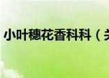 小叶穗花香科科（关于小叶穗花香科科介绍）
