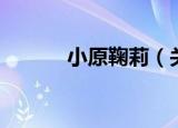 小原鞠莉（关于小原鞠莉介绍）