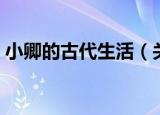 小卿的古代生活（关于小卿的古代生活介绍）