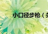 小口径步枪（关于小口径步枪介绍）