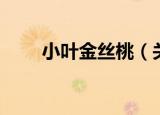 小叶金丝桃（关于小叶金丝桃介绍）