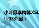 小叶鼠李群体XSL-93（关于小叶鼠李群体XSL-93介绍）
