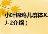 小叶锦鸡儿群体XJ-2（关于小叶锦鸡儿群体XJ-2介绍）