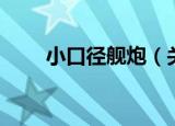 小口径舰炮（关于小口径舰炮介绍）