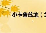 小卡鲁盆地（关于小卡鲁盆地介绍）