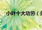 小叶十大功劳（关于小叶十大功劳介绍）