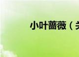 小叶蔷薇（关于小叶蔷薇介绍）