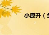 小原升（关于小原升介绍）