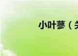 小叶蓼（关于小叶蓼介绍）