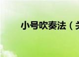 小号吹奏法（关于小号吹奏法介绍）