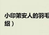 小印第安人的羽毛（关于小印第安人的羽毛介绍）