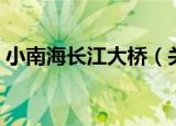 小南海长江大桥（关于小南海长江大桥介绍）
