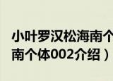 小叶罗汉松海南个体002（关于小叶罗汉松海南个体002介绍）