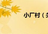 小厂村（关于小厂村介绍）