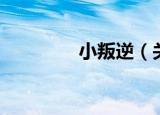 小叛逆（关于小叛逆介绍）