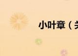 小叶章（关于小叶章介绍）