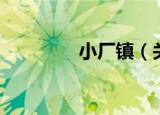 小厂镇（关于小厂镇介绍）