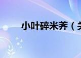 小叶碎米荠（关于小叶碎米荠介绍）