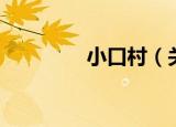 小口村（关于小口村介绍）