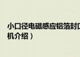 小口径电磁感应铝箔封口机（关于小口径电磁感应铝箔封口机介绍）