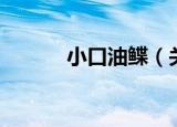 小口油鲽（关于小口油鲽介绍）