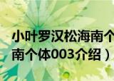小叶罗汉松海南个体003（关于小叶罗汉松海南个体003介绍）