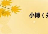 小博（关于小博介绍）